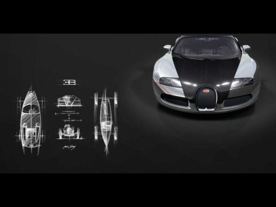 Bugatti Veyron 16.4 Pur Sang 2007 года  (фото 18 из 18)